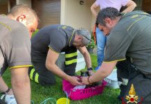 Incendio in un’abitazione di Cadè: i vigili del fuoco domano le fiamme e salvano i gatti dei proprietari