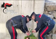 Assalto alla sala slot di Casaloldo, arrestati i rapinatori col machete