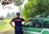 Carabinieri Forestali in azione a Serravalle a Po: trovate 20 esche avvelenate