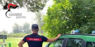Carabinieri Forestali in azione a Serravalle a Po: trovate 20 esche avvelenate