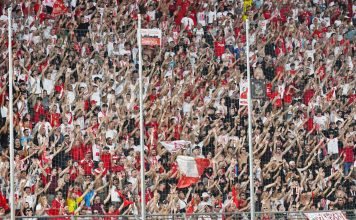 Calcio Serie B – Mantova, non basta il cuore: al Martelli passa il Palermo (0-2) tifosi_2_3529053