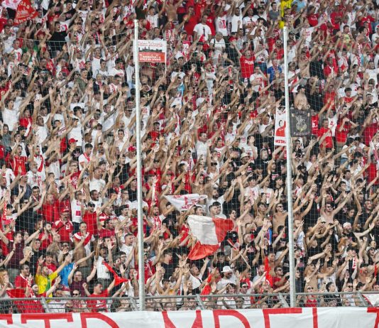 Calcio Serie B – Mantova, non basta il cuore: al Martelli passa il Palermo (0-2) tifosi_2_3529053
