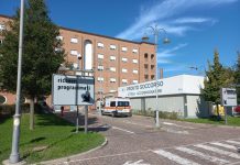 L’estate è in anticipo e anche l’allarme per la febbre del Nilo