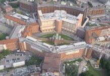 Operaio cade da 4 metri in azienda agricola: ricoverato in gravi condizioni a Brescia