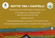 A Governolo l’evento artistico notturno dal titolo “Notte tra i castelli”