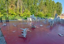 Villimpenta: minorenni ubriachi danneggiano il Campo Fiera