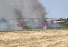 Vasto incendio a Cavriana. Vigili del fuoco al lavoro anche con l’elicottero