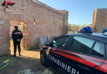 Violazione dei domiciliari, arrestato 22enne
