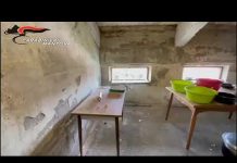 Contrasto al caporalato, vasta operazione dei Carabinieri. Scovati lavoratori in nero, elevate sanzioni e sospese alcune aziende