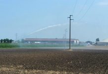 Agricoltura in sicurezza, i consigli di e-distribuzione