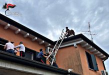 Conviventi litigano e salgono sul tetto minacciando di gettarsi di sotto. Salvati dai carabinieri dopo una lunga trattativa