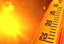 Al via l’ordinanza regionale anti-caldo. Cortesi: “Servono misure non generiche, ma specifiche per ogni settore”