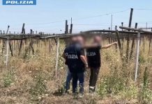 Maxi operazione contro l’immigrazione clandestina in 23 province / Video
