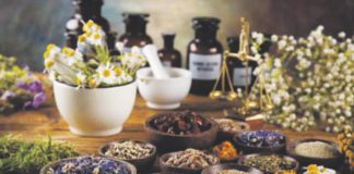 “DAI SALICI”, dove la natura genera benessere