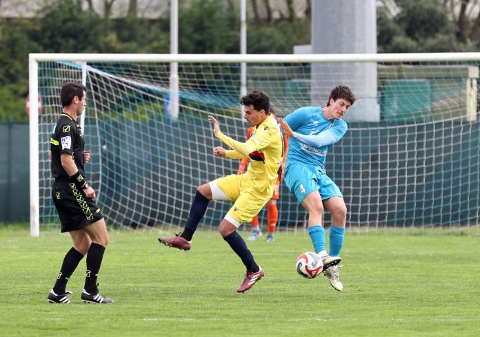 Crema_Tassi_01_3636942