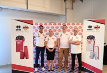 Basket Serie B Interregionale – Amica Chips Stings Mantova: valori, passione, ambizione