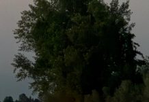 La luce sull’acqua e la benedizione del vescovo Marco Busca alla processione a Borgo Angeli