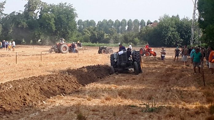 aratura quingentole (4)_3629612