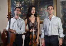 Riccardo Ronda, musicista casalasco del Trio Kobalt: “Casalmaggiore ha sempre il sapore di casa” kobalt2_3633706