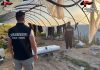 Lavoro nero: chiusa un’azienda agricola. Titolare denunciata e multata per 37mila euro dai carabinieri