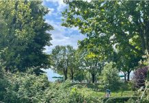 Discarica invisibile sul lago. E anche il post sui social diventa invisibile