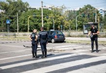 Donna investita e uccisa a Milano, fermati quattro minorenni