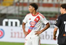 Calcio Serie B – Mantova, otto volti nuovi e tante buone premesse Maat Caprini