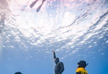 Apnea – Carrera firma tre record del mondo. Ongari: “Raggiunto traguardi storici”