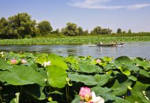Bonifiche: Parco del Mincio, Comune e Canottieri uniscono le forze