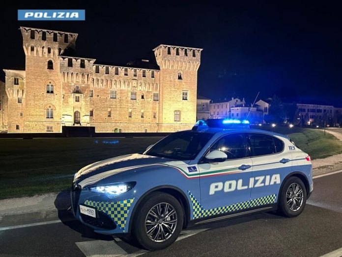 Stelvio Stradale Logo_3672457 Stelvio Stradale Logo_3672457