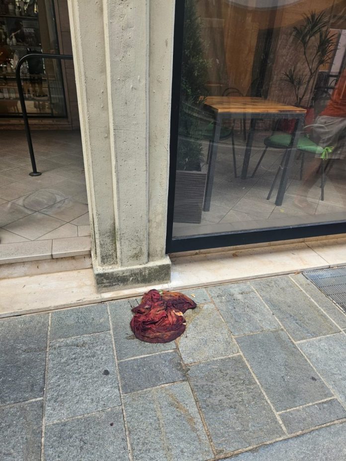 WhatsApp Image 2025-08-23 at 13.44.49_3665358