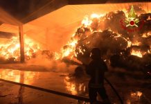 Incendio in un’azienda agricola: distrutte 600 rotoballe
