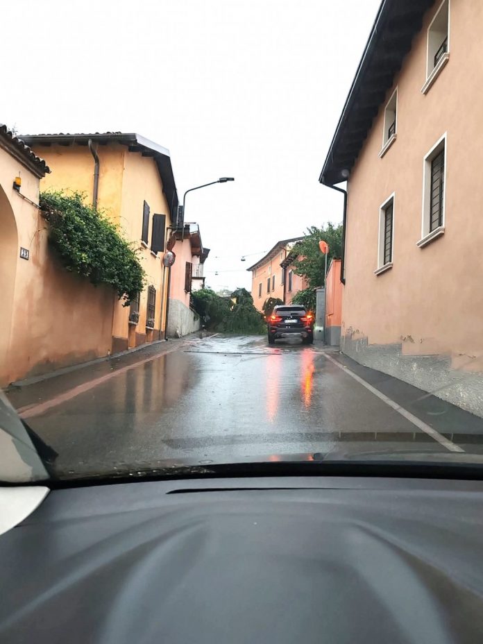 albero caduto castiglione_3671556