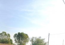 Piubega – Auto esce di strada e viene abbandonata in bilico sul fosso