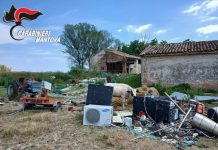 Tra quintali di rifiuti spunta pure un bovino in una discarica abusiva di Ostiglia