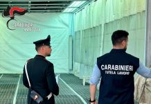 Cantiere fuorilegge a Curtatone: sospesa attività, multa da 30mila euro, 4 operai in nero e sicurezza assente