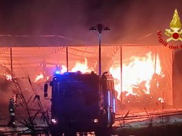 Incendio devasta un fienile: danni ingenti