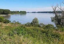 Colto da malore dopo avere salvato il suo cane finito in Po: muore un 86enne