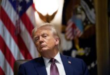 Ue, maxi multa da 3 miliardi a Google per distorta concorrenza. Trump “Non permetterò che queste azioni discriminatorie continuino”