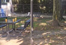 Mantova, viale Asiago ostaggio del degrado: residenti esasperati chiedono interventi immediati