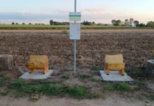 Rivarolo: da alberi ammalorati… a panchine