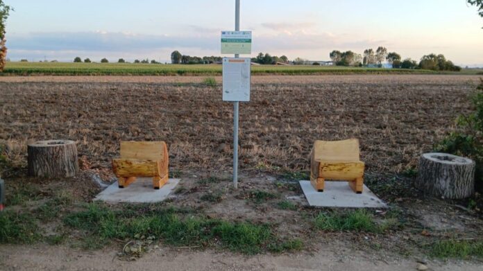 541443419_1120728220185464_3601761549854231549_n_3677752