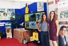 Formazione e Impresa: Its Academy è in Fiera a Gonzaga e il 15 settembre open day al MaMu