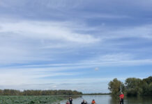 Weekend di eventi tra le Valli del Mincio, la Palude di Ostiglia e le golene del Po