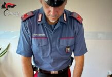 Porto Mantovano, due blitz antidroga in pochi giorni: arresti e sequestri