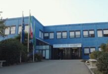 Infortunio in un’azienda agricola di Viadana: 57enne ricoverato con un trauma cranico