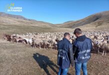 Frode all’Unione Europea. Sequestrati 17 milioni di euro. Un imprenditore agricolo mantovano tra i 48 indagati