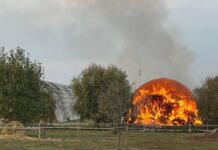 Maxi-rogo di rotoballe in un’azienda agricola di Motteggiana