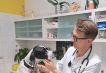 Mantova Village, una domenica dedicata al benessere degli animali