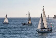 Flotilla, liberati i quattro parlamentari italiani